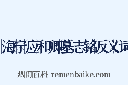 海宁应和卿墓志铭反义词是什么意思的图片